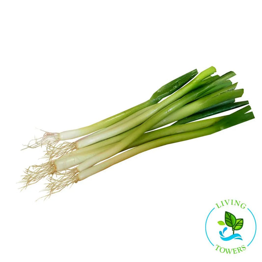 Parade Green Onion Tower Garden Seedling | Living Towers Florida Keys