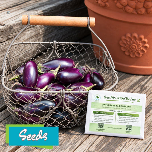 Vegetables - Eggplant, Patio Baby F1 Seeds