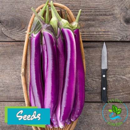Vegetables - Eggplant, Ping Tung Long Seeds