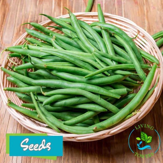 Vegetables - Beans, Provider Seeds