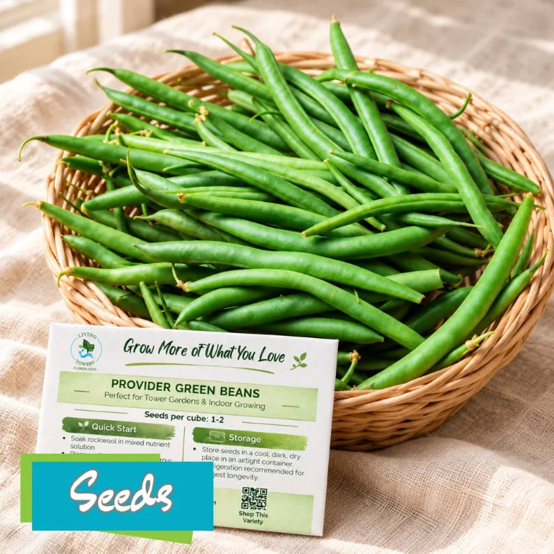Vegetables - Beans, Provider Seeds