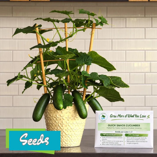 Vegetables - Cucumber, Quick Snack F1 Seeds