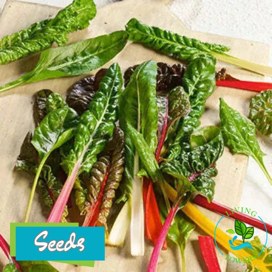 Colorful swiss chard leaves on a wooden surface with 'Seeds' branding.