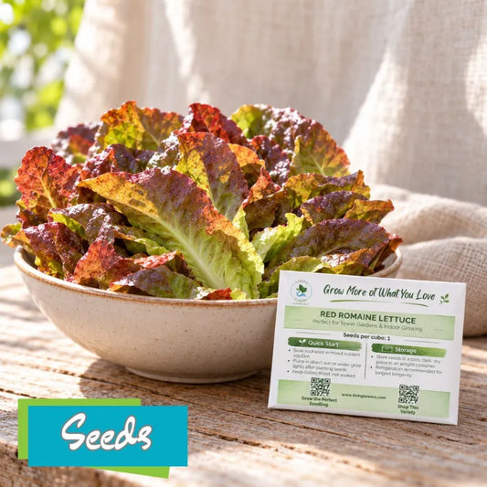 Red Romaine in a bowl with a packet of red romaine seeds