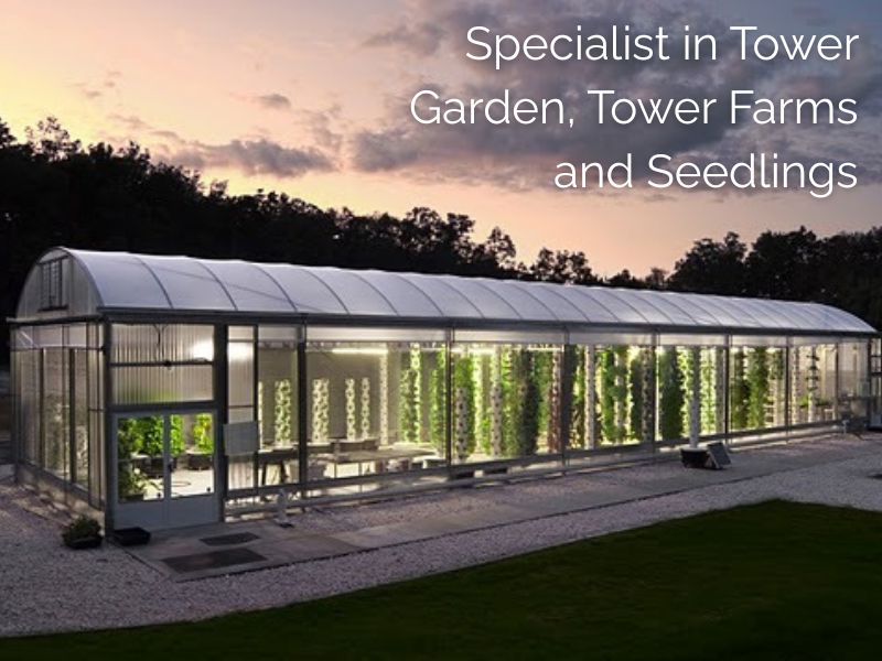 Specialist In Tower Gardens, Farms And Seedlings – Living Towers ...
