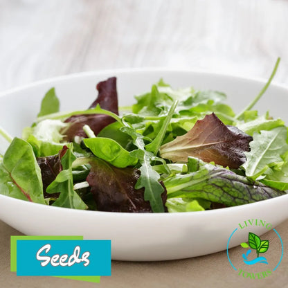Greens - Spicy Mesclun Mix Seeds