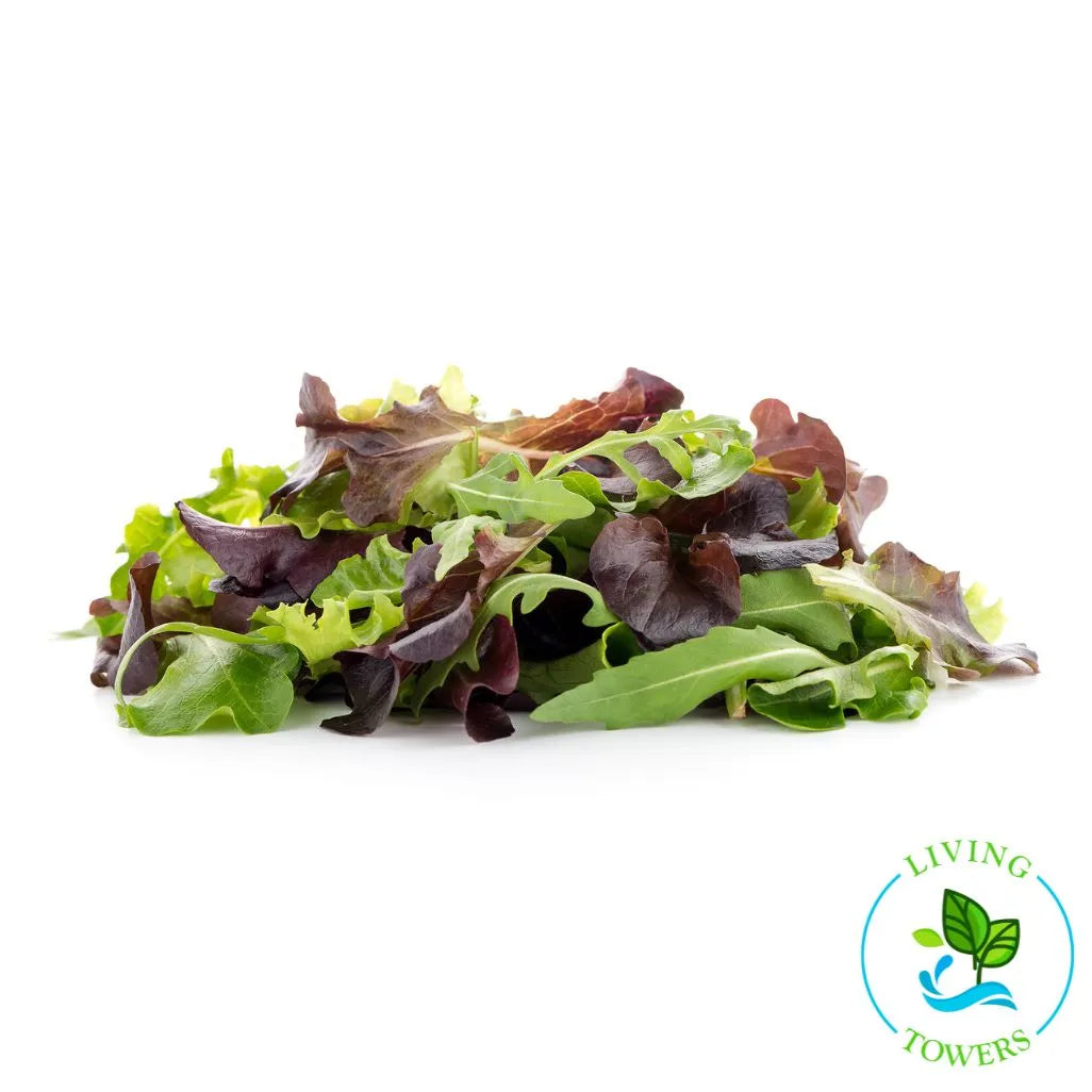 Spring Mix Letuce Tower Garden Spring Mix Lettuce seedling | LivingTowers Florida Keys ...