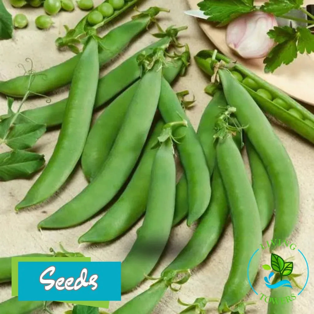 Vegetables - Sugar Snap Peas, Sugar Daddy Seeds