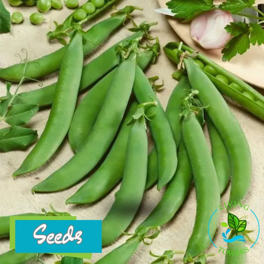 Vegetables - Sugar Snap Peas, Sugar Daddy Seeds
