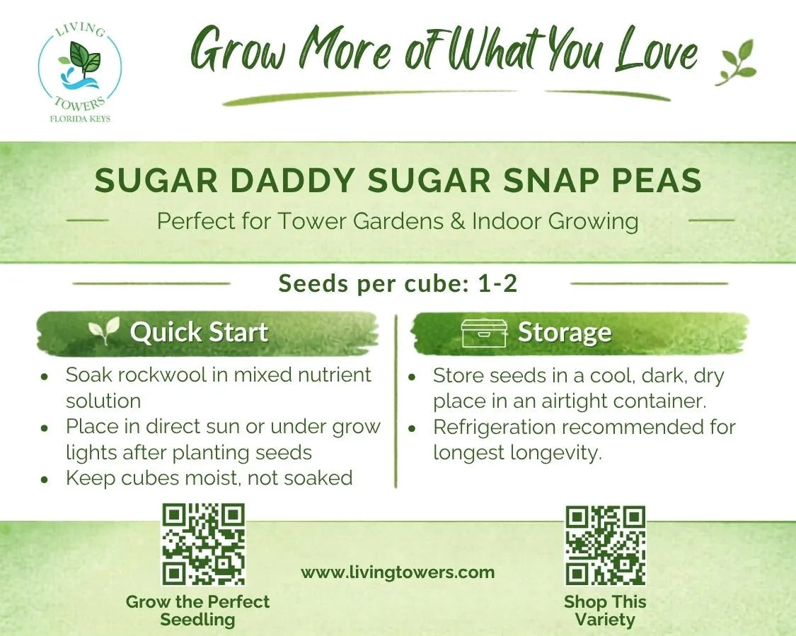 Vegetables - Sugar Snap Peas, Sugar Daddy Seeds
