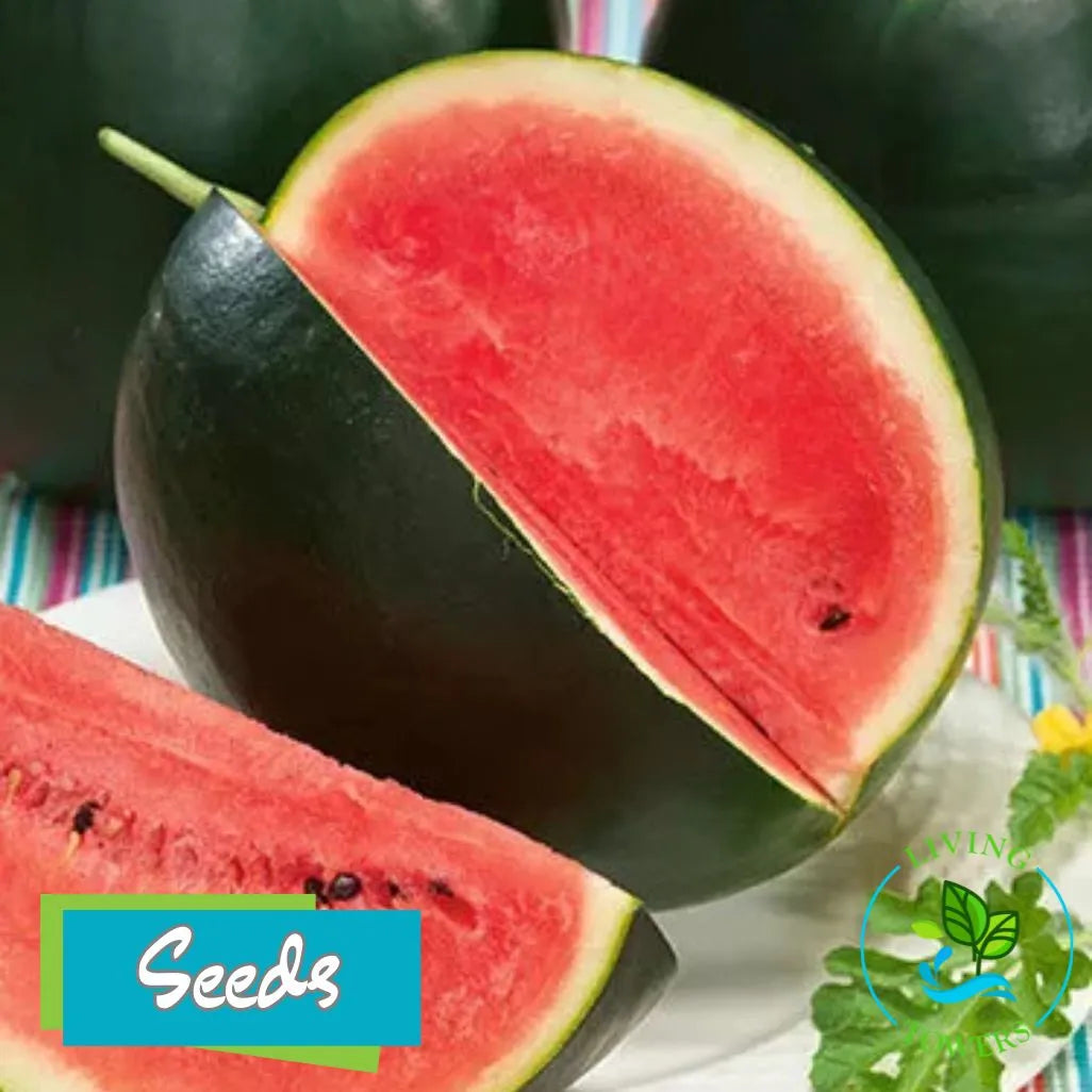 Sugar Baby watermelon with a visible brand logo on a colorful striped background