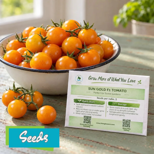Sungold tomatoes in a bowl next to sungold tomato seed packet