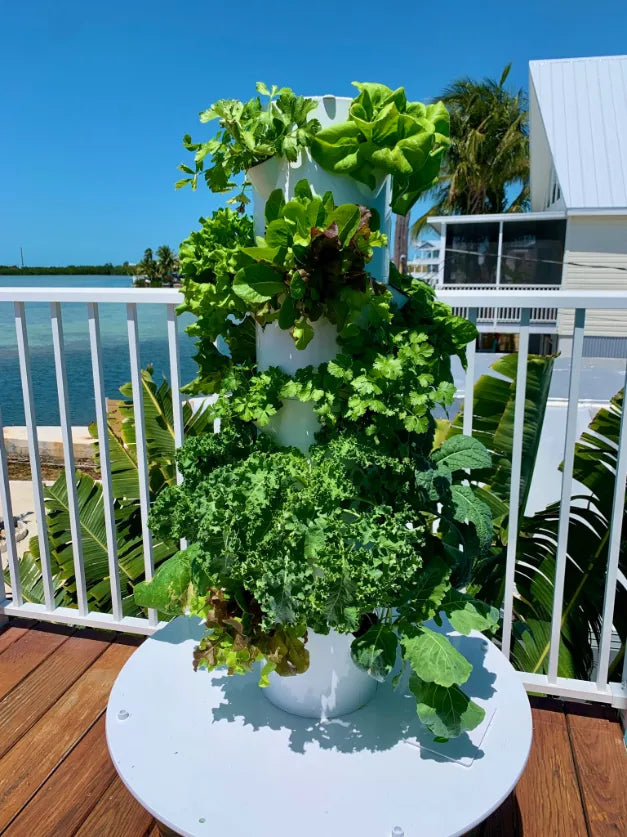 Thriving Tower Garden filled with healthy green plants