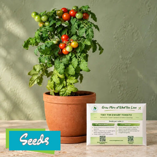 Vegetables - Tomato, Tiny Tim Seeds