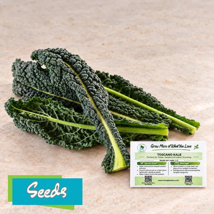 Greens - Kale, Toscano Seeds