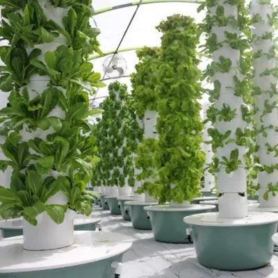 Commercial Tower Farm with rows of vertical growing towers