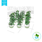 Tower Garden Community Garden – 12 FLEX Growing Systems