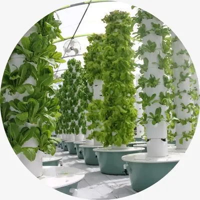 Tower Garden Farm