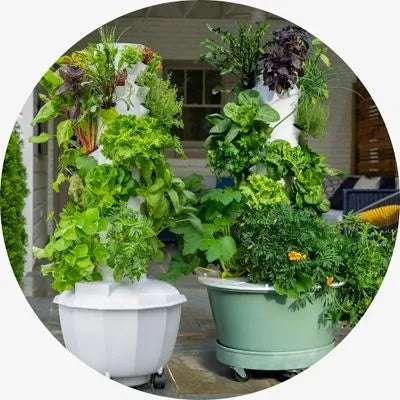 Tower Garden HOME and FLEX