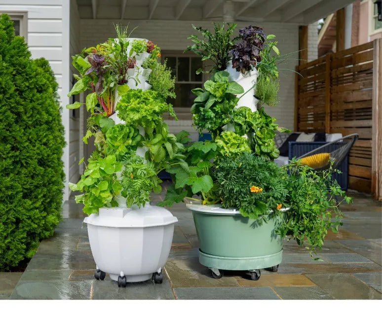 Tower Garden FLEX and HOME Outdoors