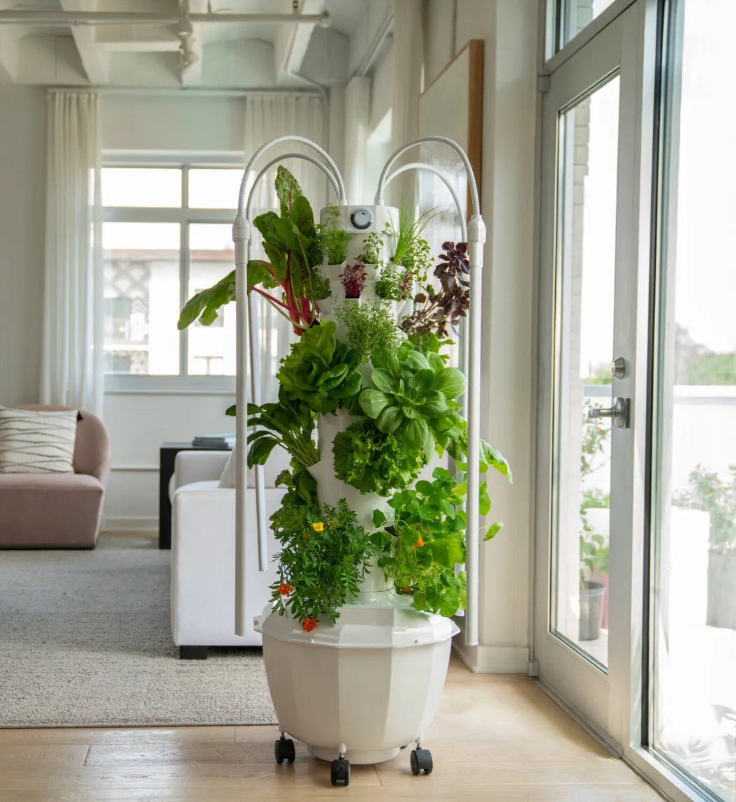 Tower Gardne HOME with LED Lights