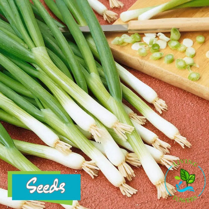 Vegetables - Onion, Warrior Bunching Seeds