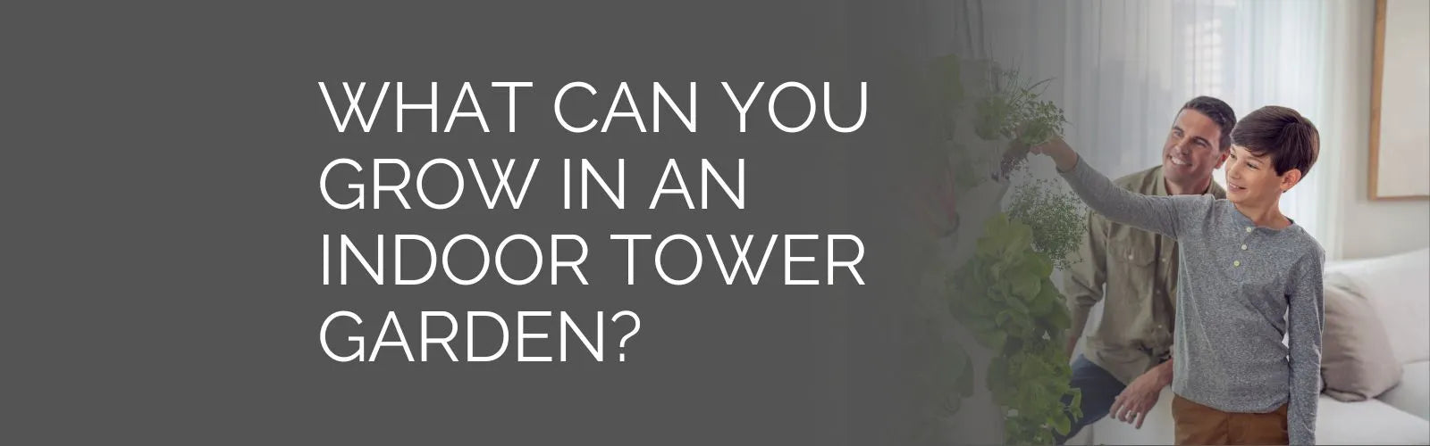 What Can you Grown in an Indoor Tower Garden?