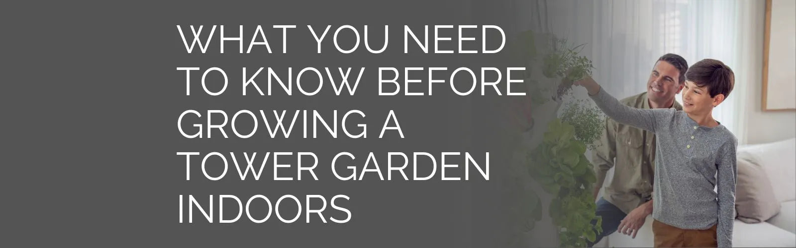 What You Need To Know Before Starting Your Tower Garden indoors