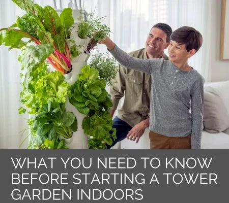 What You Need To Know Before Starting Your Tower Garden indoors