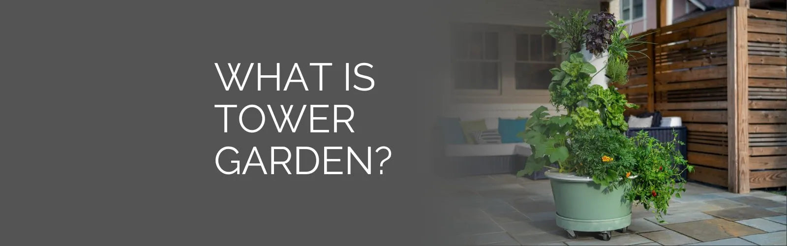 What Is Tower Garden?