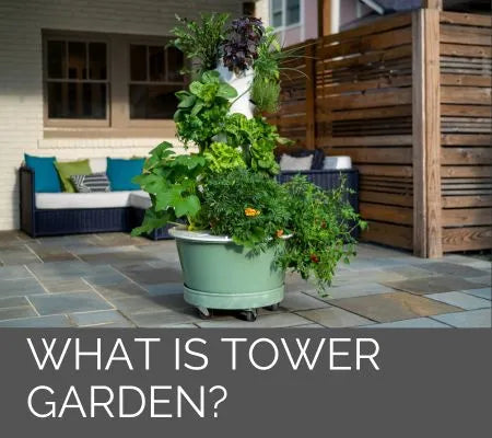 What Is Tower Garden?