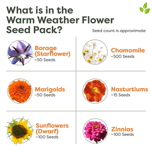 Warm Weather Flower Seed Pack