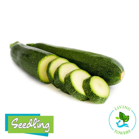 Zucchini with slices on a white background, featuring 'Seedling' and 'Living Towers' logos.