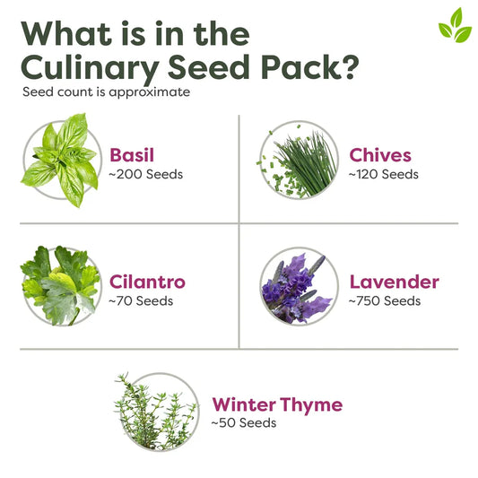 Culinary seed Pack