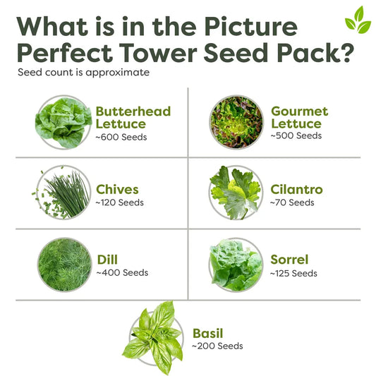 Picture Perfect Seed Pack