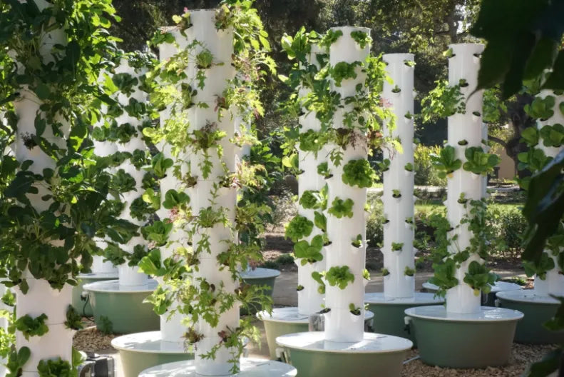 Tower Garden farm growing fresh greens at a school