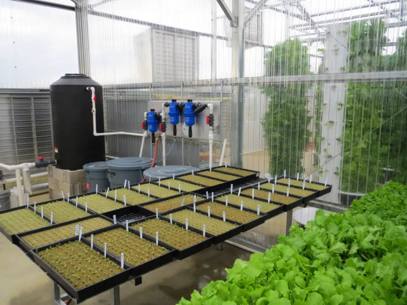Tower Farm nutrient dosing system, reservoir and propagation area
