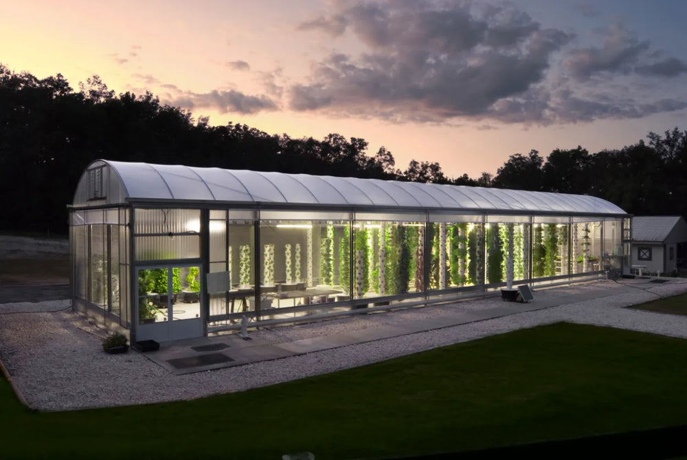Commercial Tower Farm growing inside a greenhouse