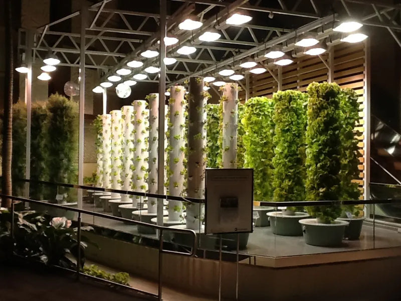 Indoor Tower Garden farm at the Orange County Convention Center in Orlando