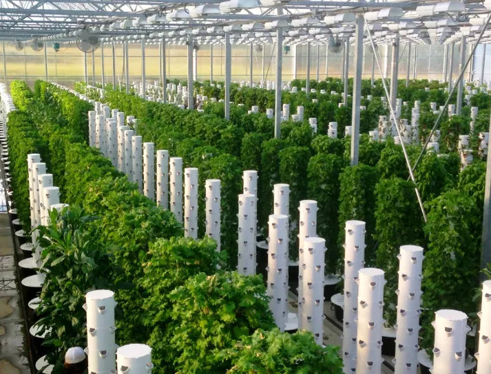 Commercial Tower Farm using vertical aeroponic growing towers