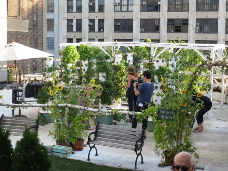 Tower Farm growing on the rooftop of the McKittrick Hotel in New York