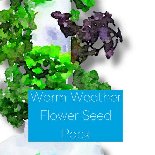 Warm weather Flower Seed Pack