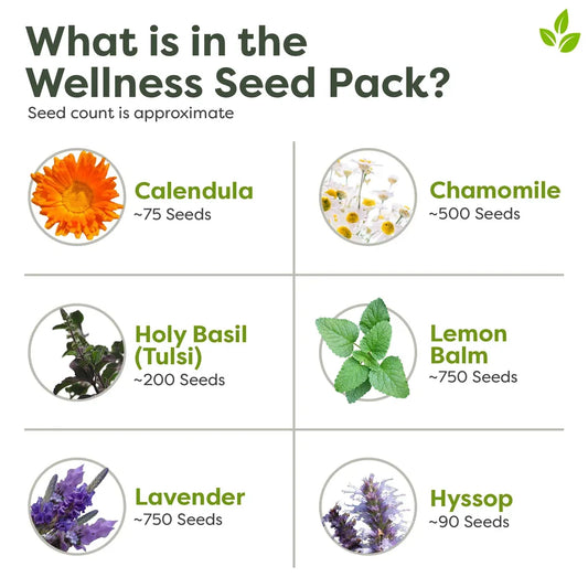 Wellness Seed Pack