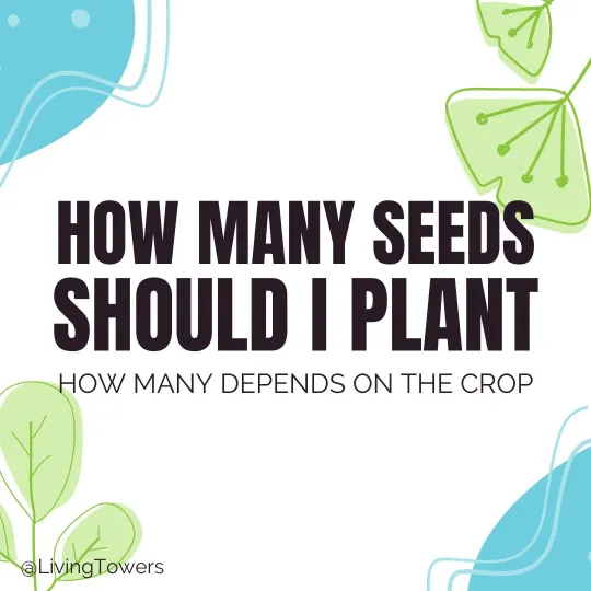 How many Seed Should I plant