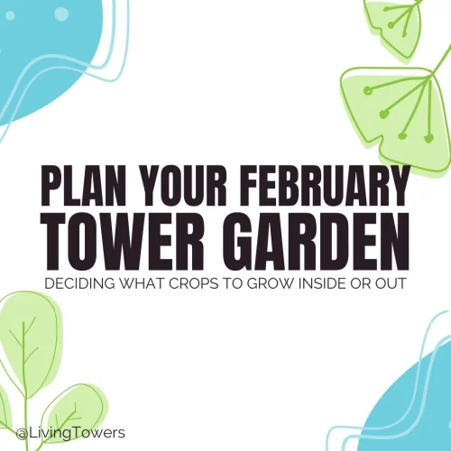 Planning Your February Tower Garden